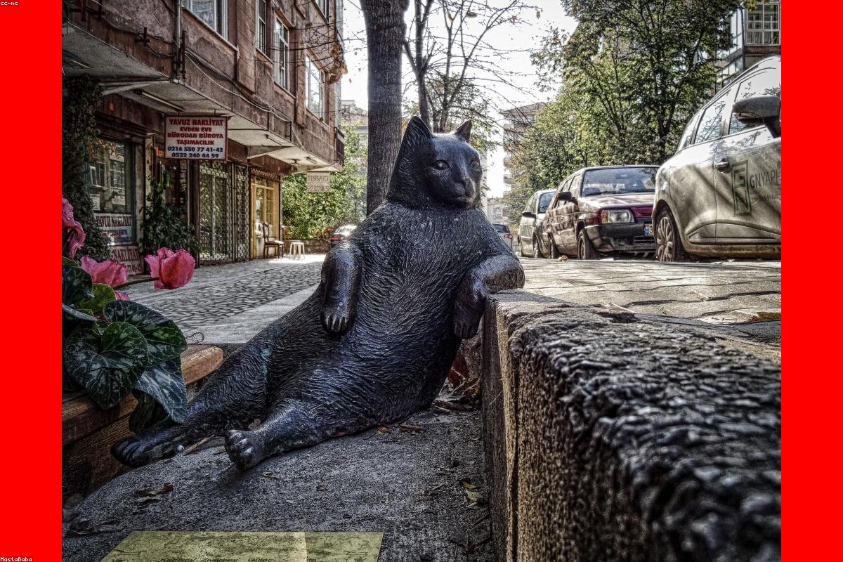 焦点关键词实战指南配图：清晰展示核心步骤与结果